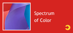 Spectrum of Color